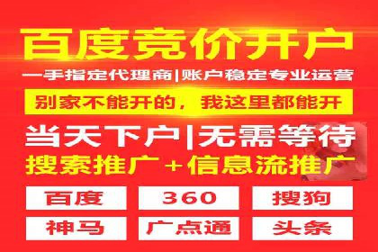 百度竞价排名机制：成功案例与策略探讨